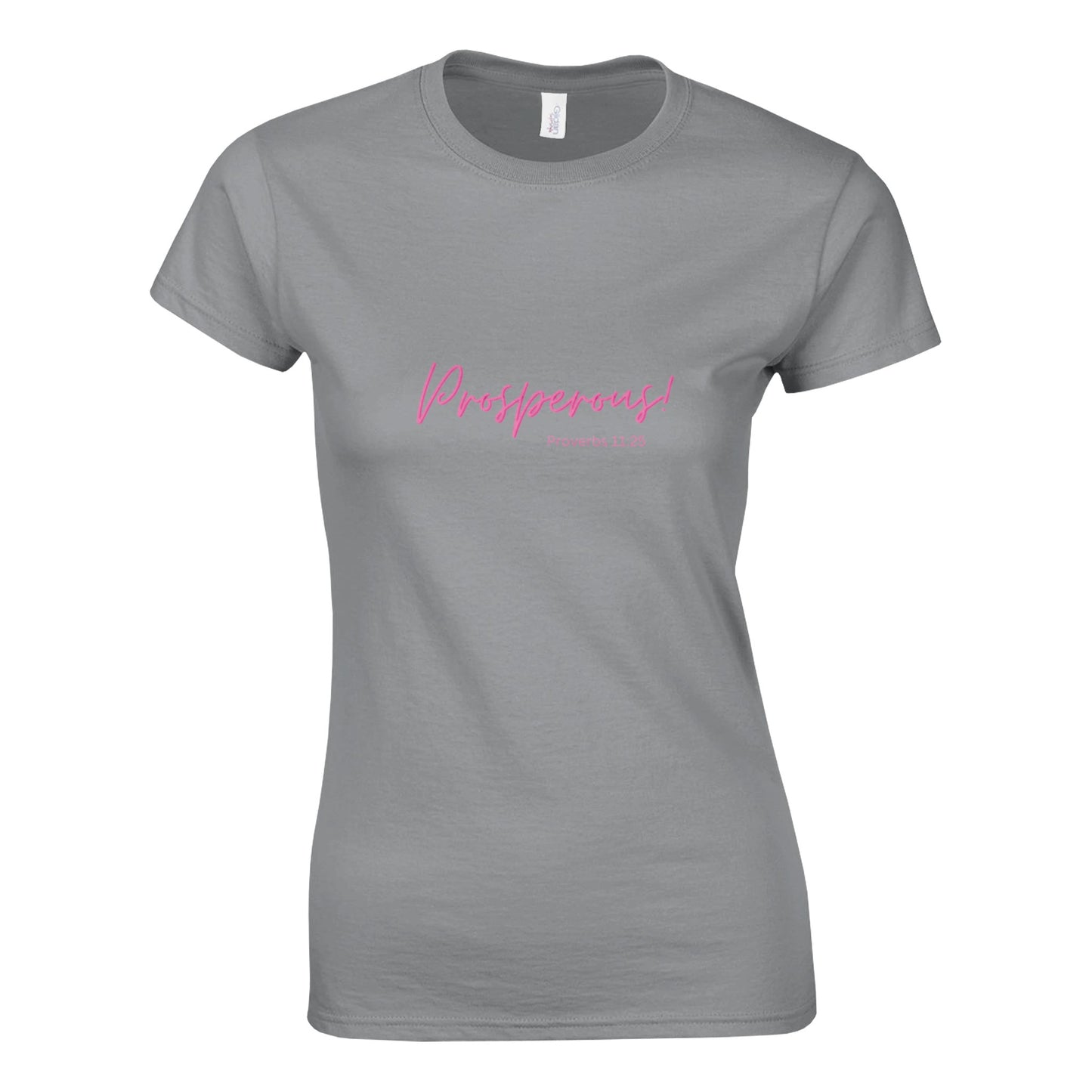 Proverbs 11:25 Prosperous T-Shirt, Gray
