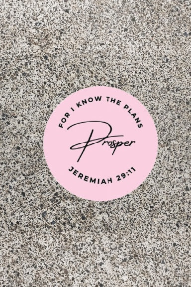 Prosper Jeremiah 29:11 Journal