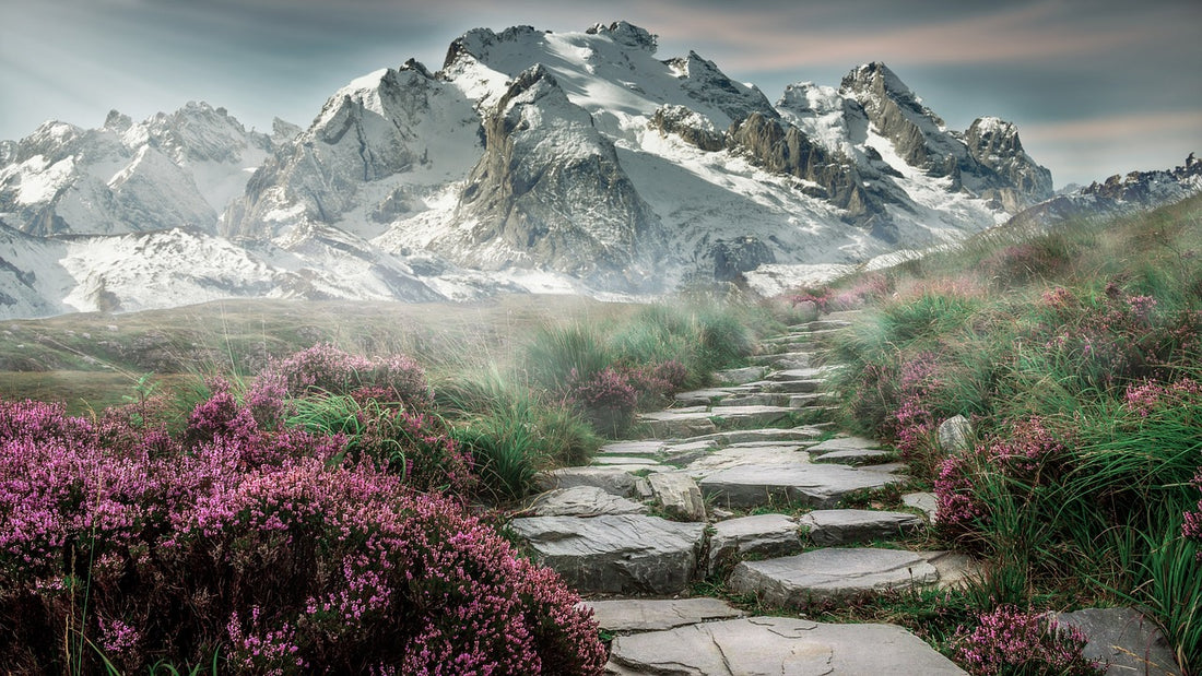 Prosperity in Practice: Applying Deuteronomy 8:18 to Your Finances