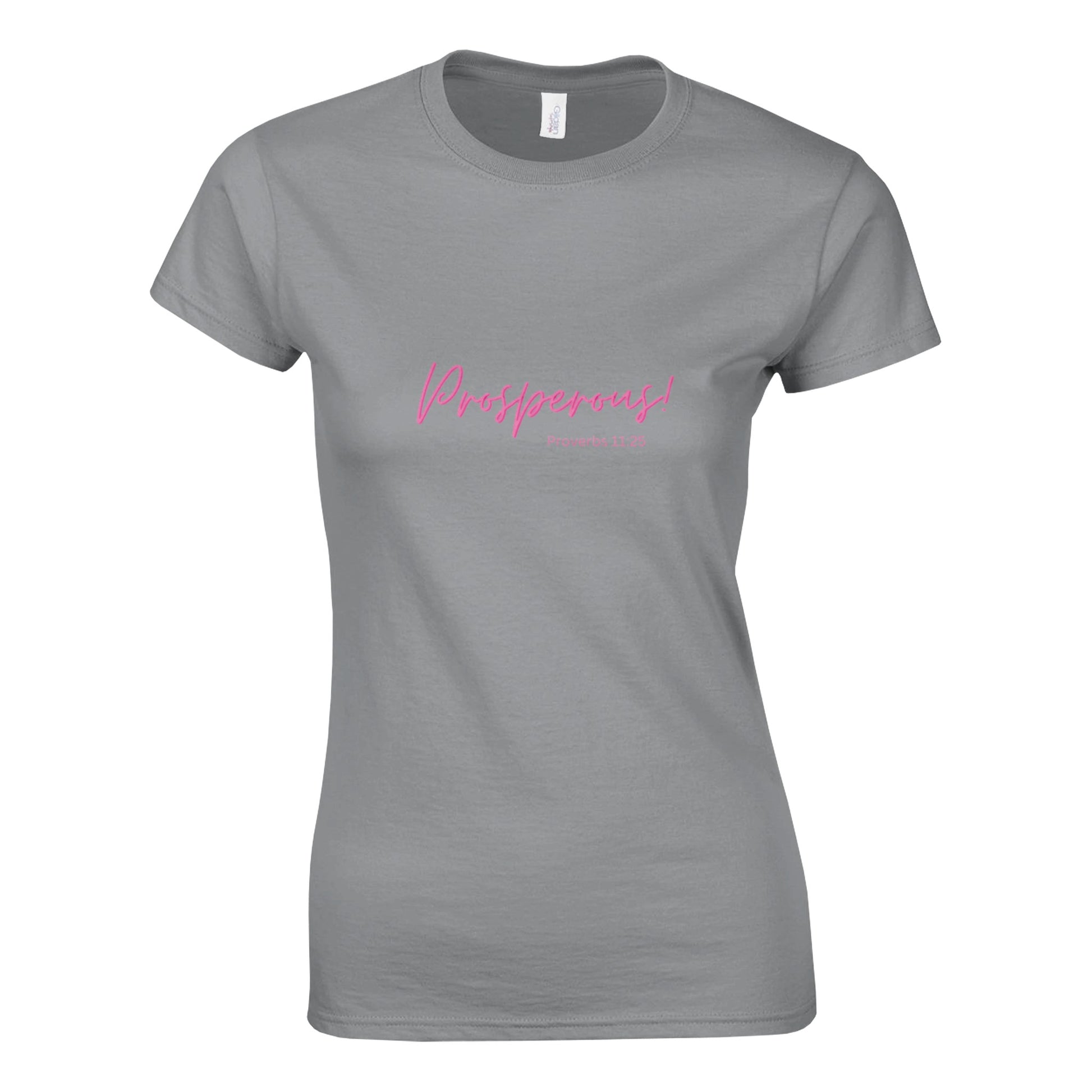 Proverbs 11:25 Prosperous T-Shirt, Gray