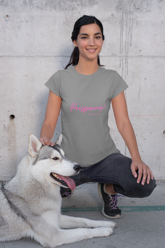 Proverbs 11:25 Prosperous T-Shirt, Gray on girl